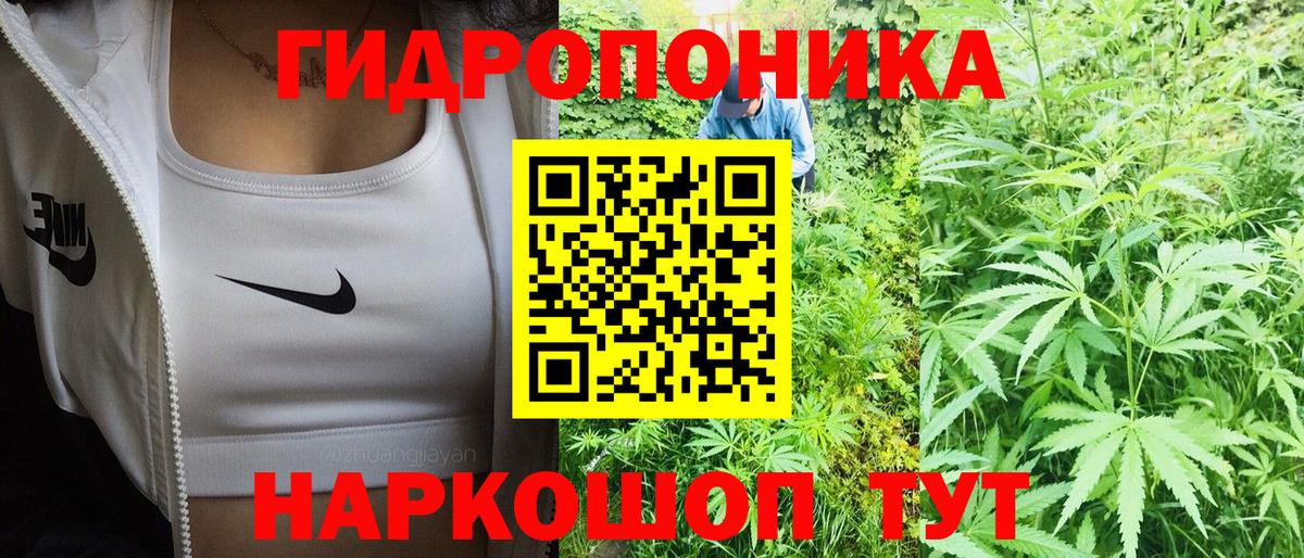 Конопля конопля  Вход с VPN  Ангарск  Шишки марихуана OG Kush 